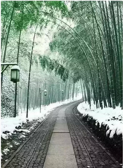 成功，就是在奮斗中把握機(jī)會